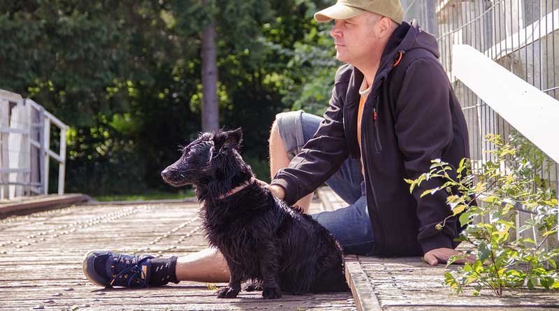 plezier-maken-met-je-hond